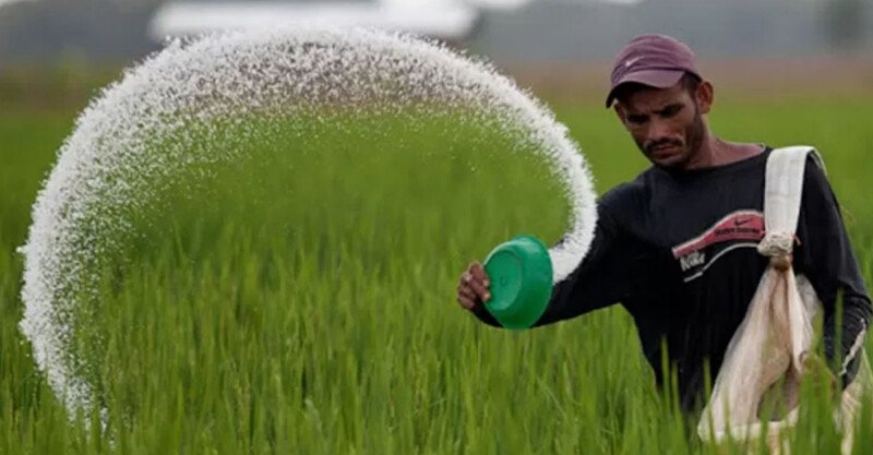 Fertilizer price increased by 105% in Bangladesh: Report