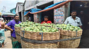 Bangladesh exports 2,700 tons of mangoes to 34 countries in current season