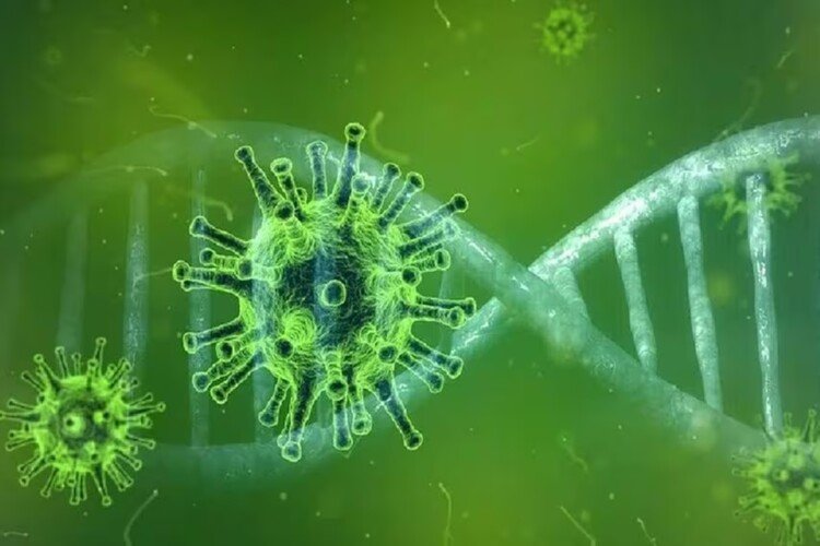 What do we know about Nipah virus? How contagious is it?