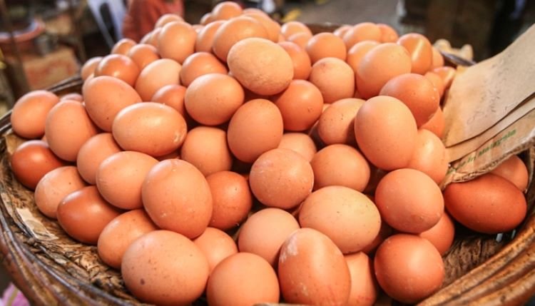 Govt approves import of another 5cr eggs on five conditions