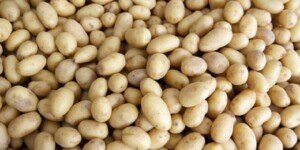Govt decides to import potatoes
