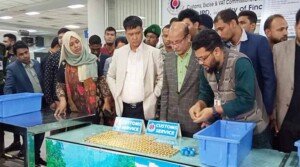 Gold worth Tk 35cr recovered at Sylhet airport