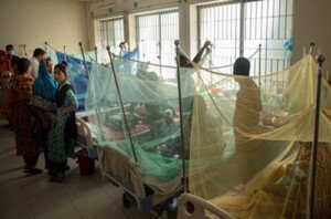 Four more die from dengue, 254 hospitalised in a day