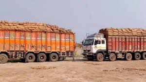 Indian onions start rotting as trucks stuck at landport