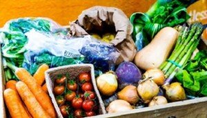 Vegan diet massively cuts environmental damage, study shows