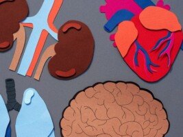 How COVID-19 affects your heart, brain and other organs