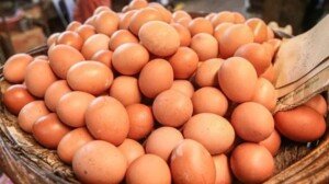 Diamond Egg, CP fined Tk 3.5cr for raising egg prices thru’ manipulation