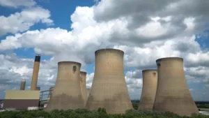 Drax: UK power station burns wood from rare forests