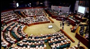 10 more parliamentary standing committees formed