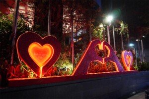 Valentines Romance at The Westin Dhaka