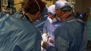 Man ‘recovering well’ after pig kidney transplant