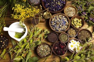 The roadmap to managing stress with Ayurvedic herbs