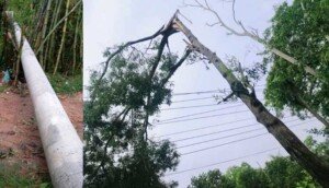 Nor’wester lashes Moulvibazar’s Kulaura, power outage at some places