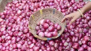 India lifts ban on onion export