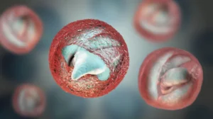 What is the water parasite making some people ill?