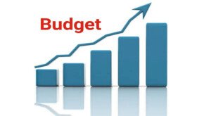 Budget 2024-25: Prices may go up and down