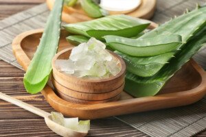 Aloe Vera: Why it’s a miracle plant in the world of Ayurveda