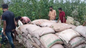 100 sacks of Indian sugar recovered in Sunamganj
