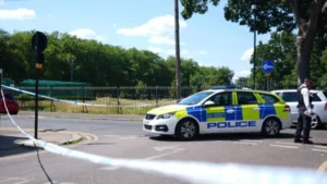 Man stabbed to death and two hurt in park fight