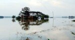 Floods devastate 3 Haor Upazilas of Moulvibazar
