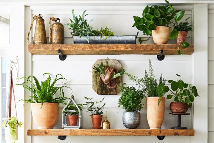 Decorate a small balcony with plants