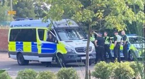 Girl, 13, admits violent disorder at hotel protest