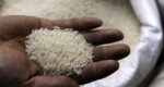 India lifts ban on non-basmati white rice exports