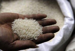 India lifts ban on non-basmati white rice exports