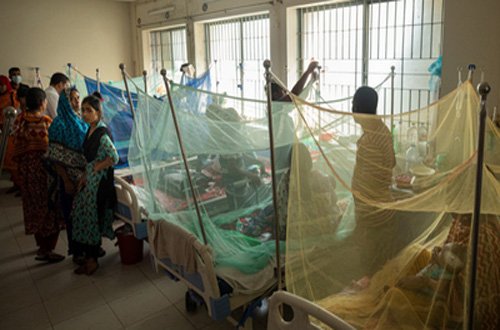 Six more die of dengue, 1,248 hospitalised