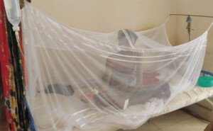 Dengue: Seven die; 1,138 hospitalised