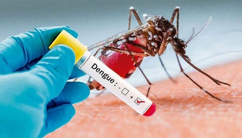 Ten more die of dengue