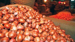 Customs, regulatory duties lifted on onion import