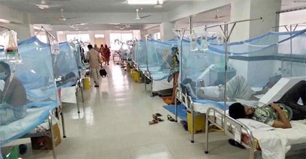 Five more die, 1,034 hospitalised with dengue