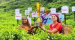 Bangladesh-Ireland T20 series trophy unveiled at Sylhet tea garden