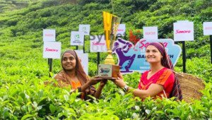Bangladesh-Ireland T20 series trophy unveiled at Sylhet tea garden