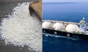 Govt to purchase rice from India, Pakistan, LNG from UAE