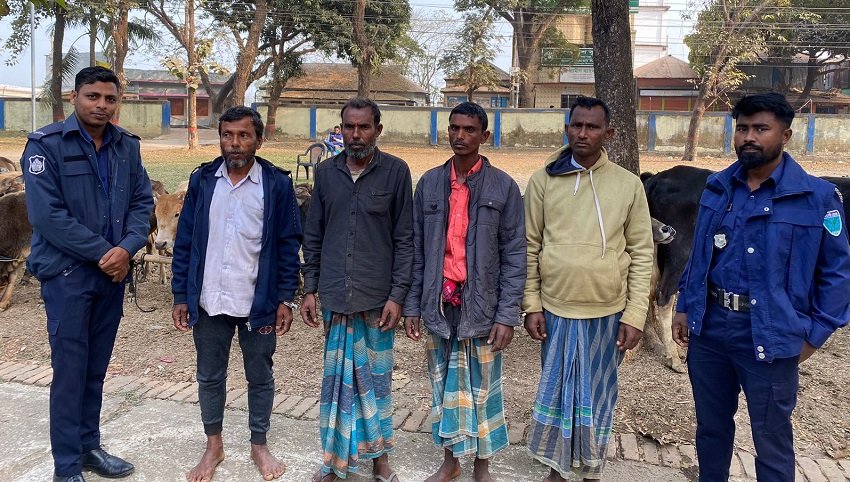 4 held with 40 smuggled cows in Sunamganj