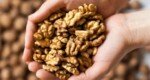 Walnut-rich breakfast may boost brain function