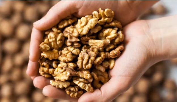 Walnut-rich breakfast may boost brain function