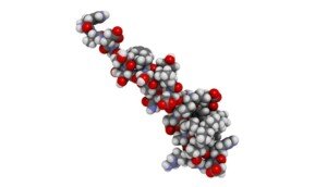 Liraglutide Peptide: A multifaceted tool for advancing researchc