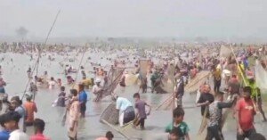 Police silent as thousands loot fish from Sunamganj wetlands