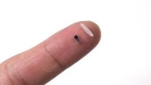 World’s tiniest pacemaker is smaller than grain of rice