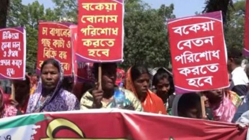 Unpaid for 20 weeks, 2,500 tea workers in Bangladesh’s Sylhet threaten tough action