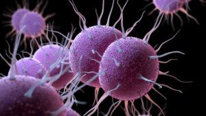 England to launch ‘world first’ gonorrhoea vaccination programme