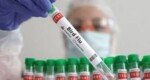 Bird flu outbreaks in mammals double, raising human risk: report