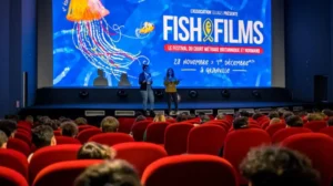 Invite to submit work to French film festival