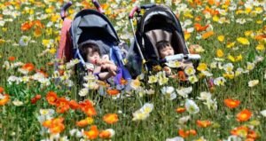 Japanese births hit record low in 2024, below 700,000 for first time
