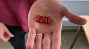 Doctors trialling ‘poo pills’ to flush out dangerous superbugs