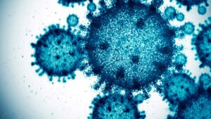 13 new COVID-19 cases reported in 24-hour