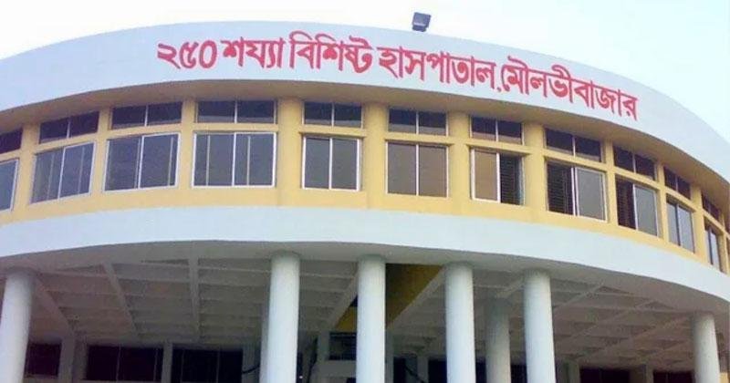 4 die ‘inhaling toxic gas’ in Moulvibazar tea garden